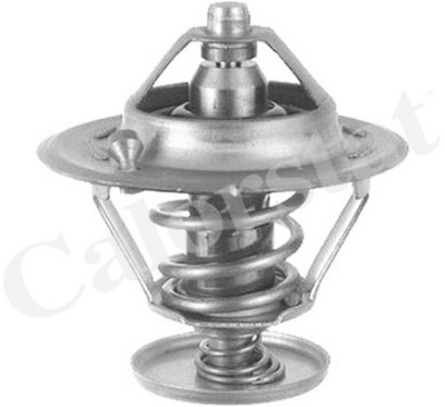 Thermostat d'eau CALORSTAT de Vernet TH6296.78J