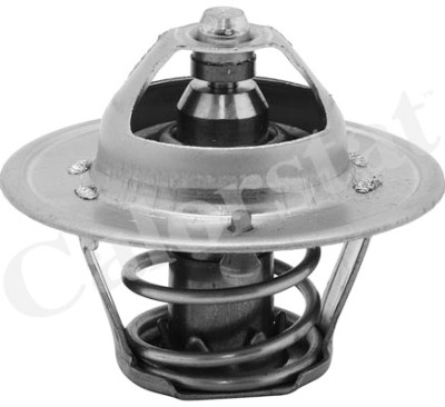 Thermostat d'eau CALORSTAT de Vernet TH6313.82J