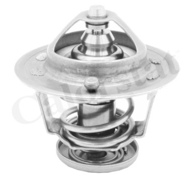 Thermostat d'eau CALORSTAT de Vernet TH6314.82