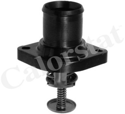 Thermostat d'eau CALORSTAT de Vernet TH6332.89J