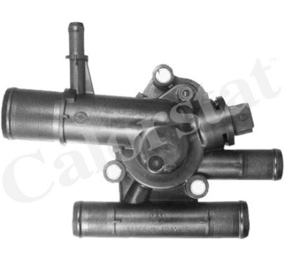 Thermostat d'eau CALORSTAT de Vernet TH6454.89J