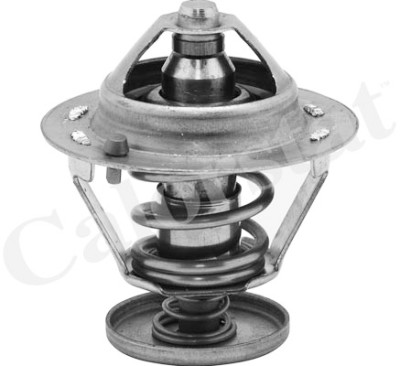 Thermostat d'eau CALORSTAT de Vernet TH6484.82J