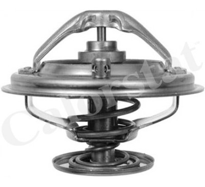 Thermostat d'eau