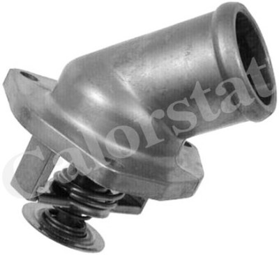 Thermostat d'eau CALORSTAT de Vernet TH6501.87J