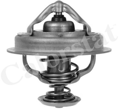 Thermostat d'eau