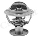 Thermostat d'eau