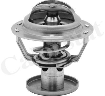 Thermostat d'eau