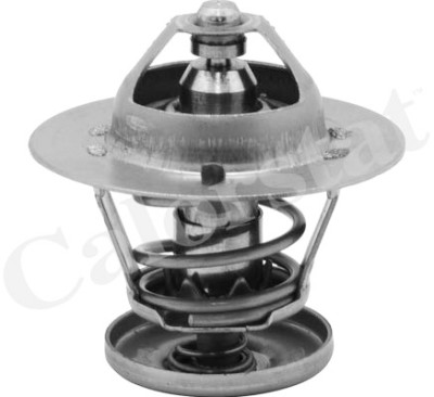 Thermostat d'eau CALORSTAT de Vernet TH6580.88J