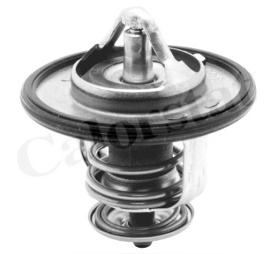 Thermostat d'eau