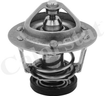 Thermostat d'eau