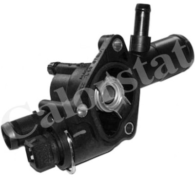 Thermostat d'eau CALORSTAT de Vernet TH6666.89J