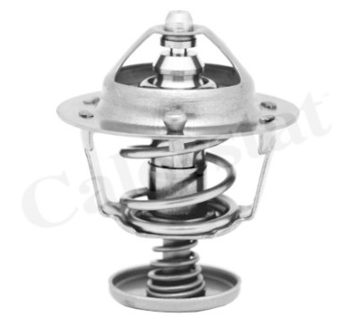 Thermostat d'eau