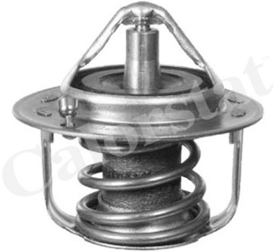 Thermostat d'eau