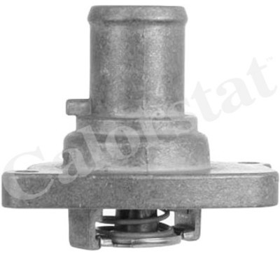 Thermostat d'eau CALORSTAT de Vernet TH6782.87J