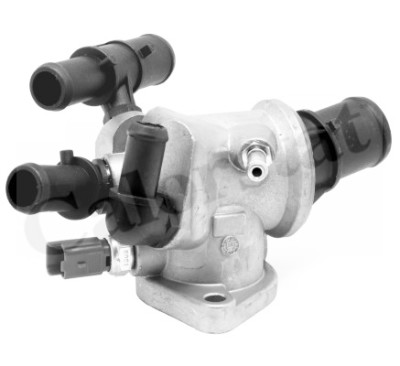 Thermostat d'eau