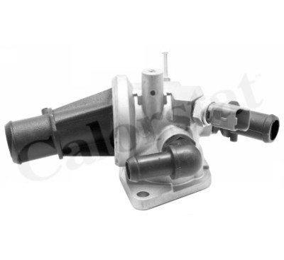 Thermostat d'eau CALORSTAT de Vernet TH6835.88J