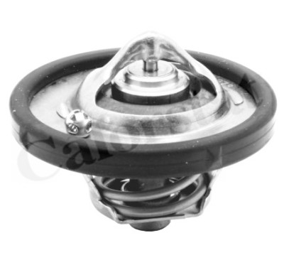 Thermostat d'eau