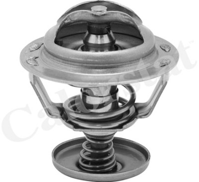 Thermostat d'eau