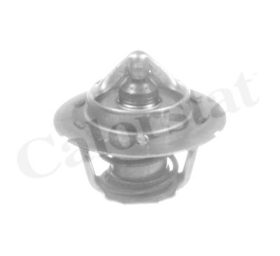 Thermostat d'eau CALORSTAT de Vernet TH6843.91J