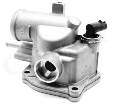 Thermostat d'eau CALORSTAT de Vernet TH6846.92J