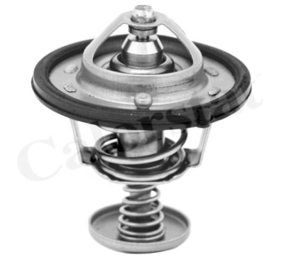 Thermostat d'eau