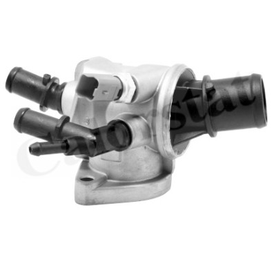 Thermostat d'eau CALORSTAT de Vernet TH6882.88J