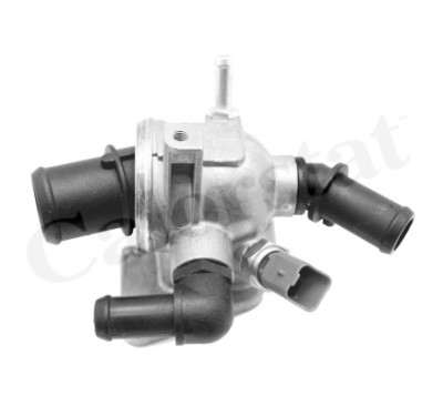 Thermostat d'eau
