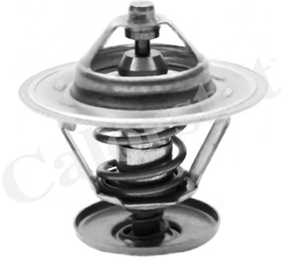 Thermostat d'eau