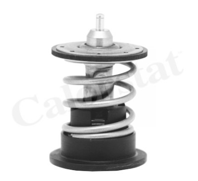 Thermostat d'eau