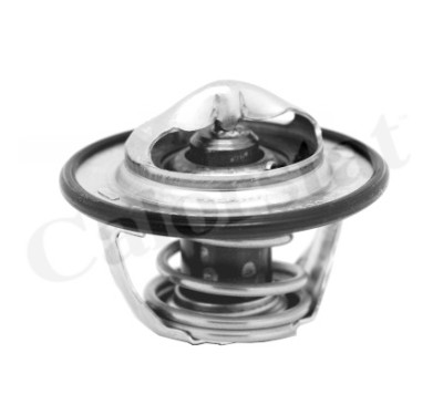 Thermostat d'eau CALORSTAT de Vernet TH7130.82J