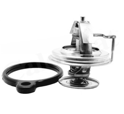 Thermostat d'eau