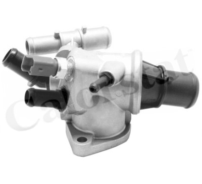 Thermostat d'eau CALORSTAT de Vernet TH7175.88J