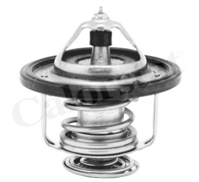 Thermostat d'eau