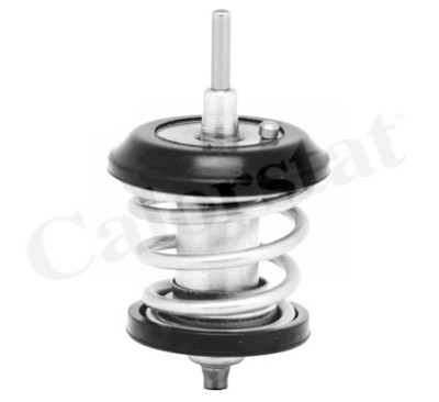 Thermostat d'eau