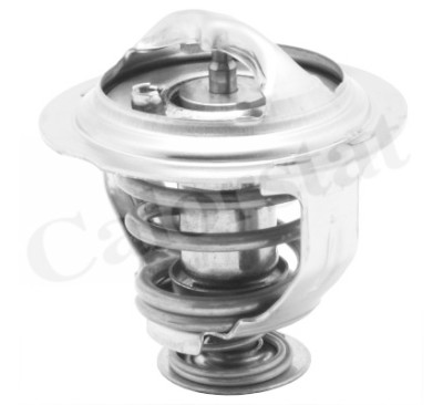 Thermostat d'eau
