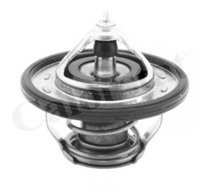 Thermostat d'eau