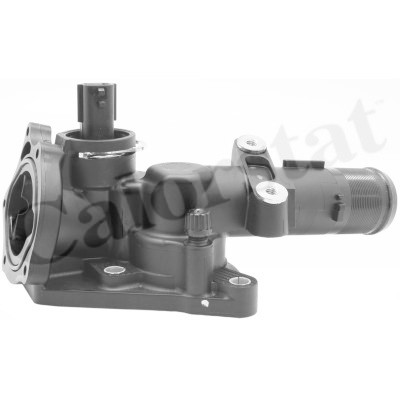 Thermostat d'eau CALORSTAT de Vernet TH7276.83J