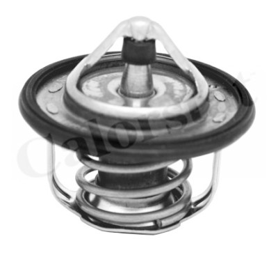 Thermostat d'eau