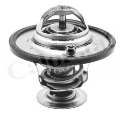 Thermostat d'eau