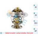 Thermostat, liquide de refroidissement FAE 5306983