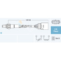 Sonde lambda