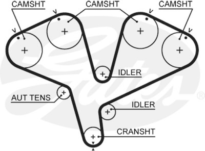 Courroie crantée