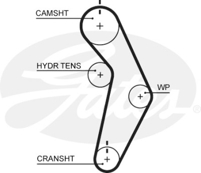 Courroie crantée
