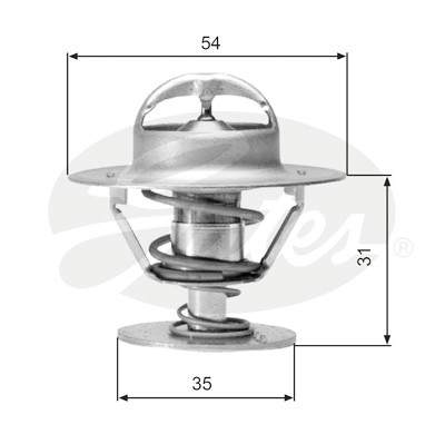 Thermostat d'eau