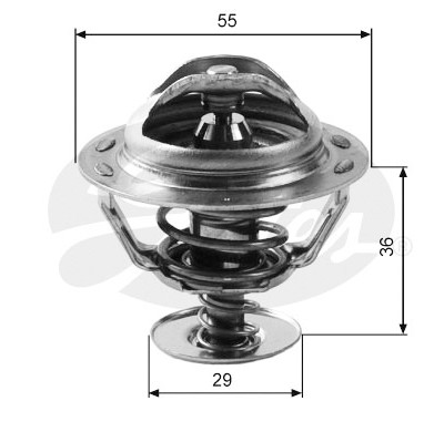 Thermostat d'eau