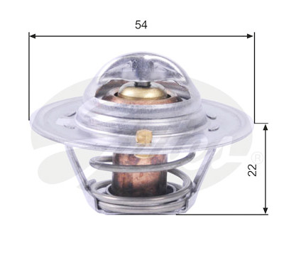Thermostat d'eau