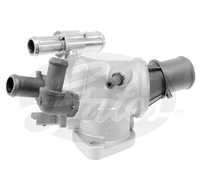 Thermostat d'eau