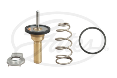 Thermostat d'eau