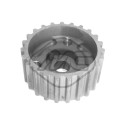 Roue dentée, arbre de commande de distributeur