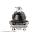 Rotule de suspension/roulement de charge BLUEPRINT ADN18601BLU